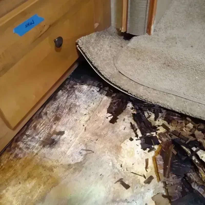 Wood Floor Water Damage in Woodlawn, NY